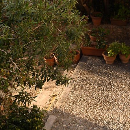 Casa Artia Villa Chania  Bagian luar foto